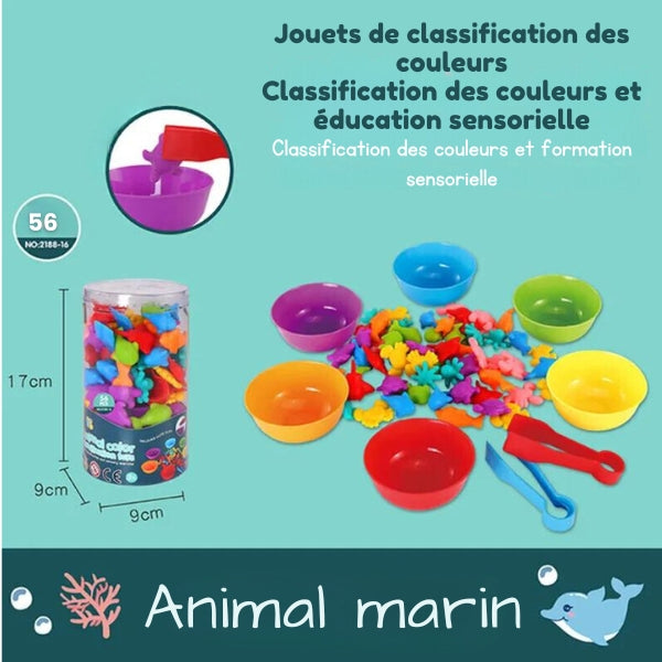 Kit de Tri Montessori Arc-en-Ciel - Éveil Ludique avec Gobelets