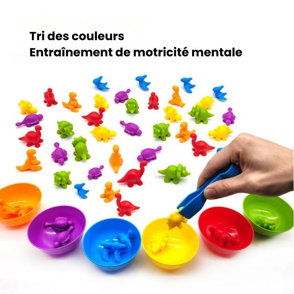 Kit de Tri Montessori Arc-en-Ciel - Éveil Ludique avec Gobelets