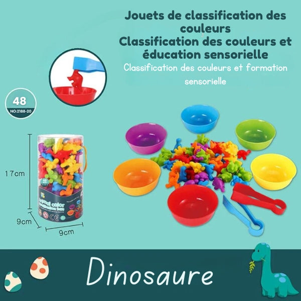 Kit de Tri Montessori Arc-en-Ciel - Éveil Ludique avec Gobelets
