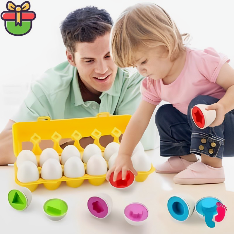 Boîte à Œufs d'Apprentissage Montessori - Oeuf'Éducatifs