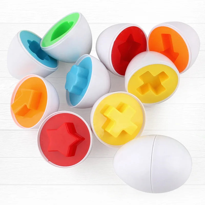 Boîte à Œufs d'Apprentissage Montessori - Oeuf'Éducatifs