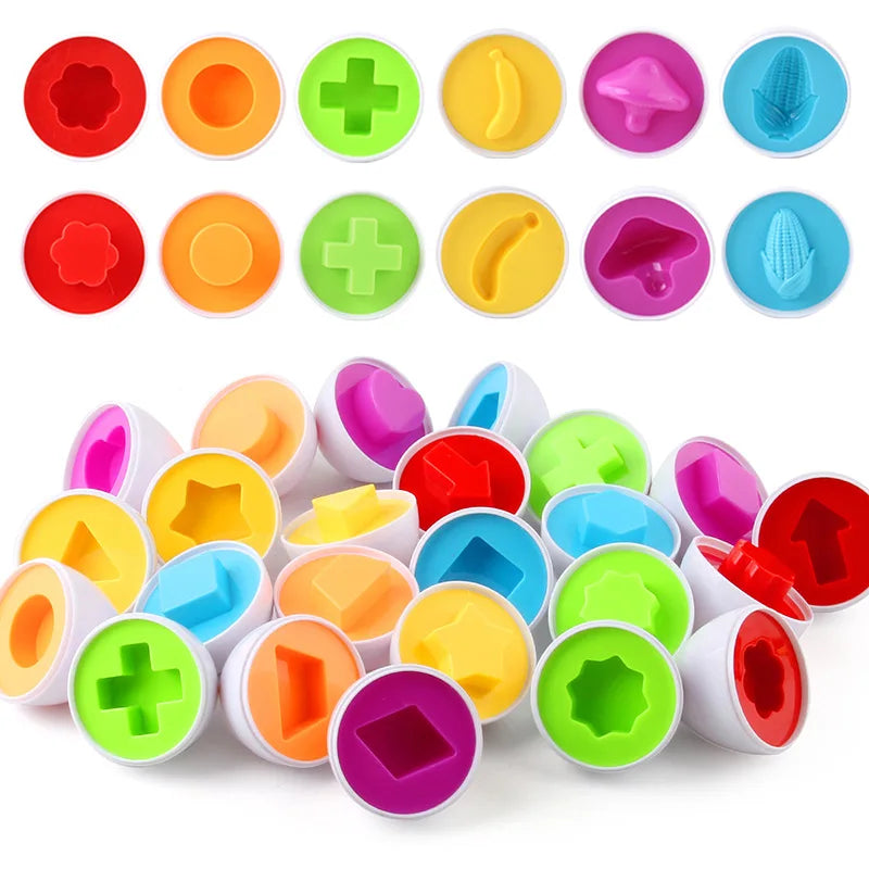 Boîte à Œufs d'Apprentissage Montessori - Oeuf'Éducatifs