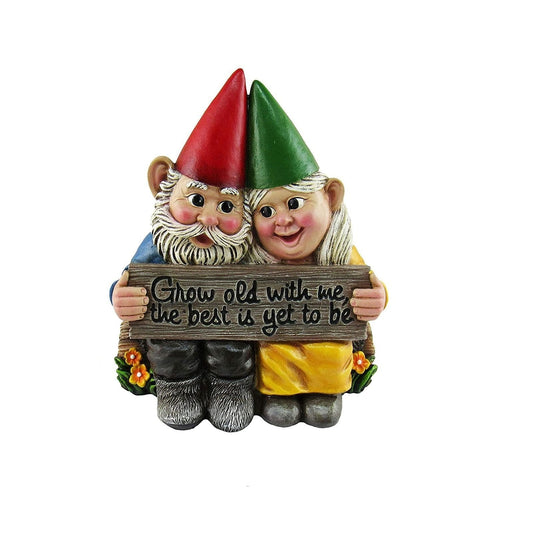 Nain de Jardin Amoureux