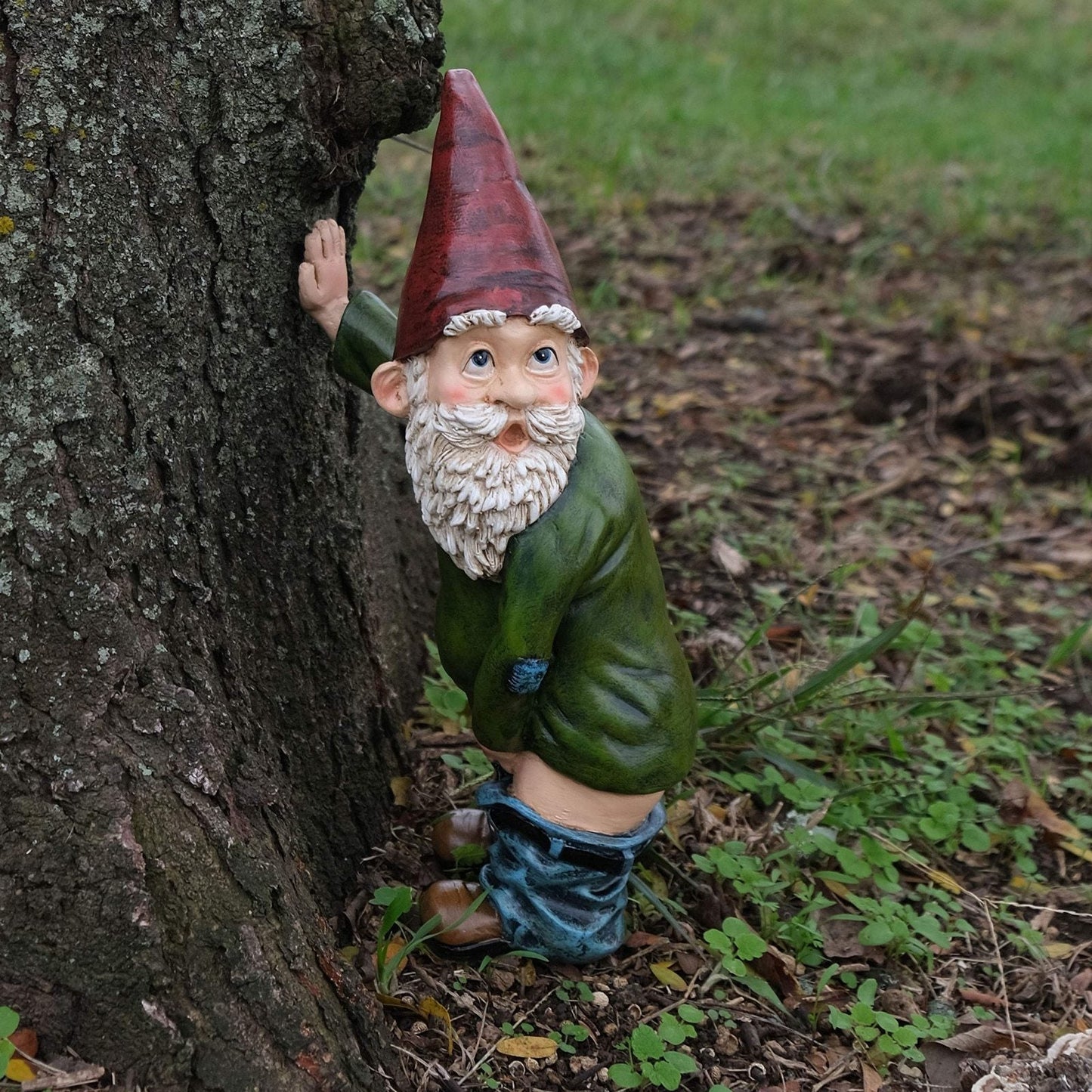 Nain de Jardin Surpris