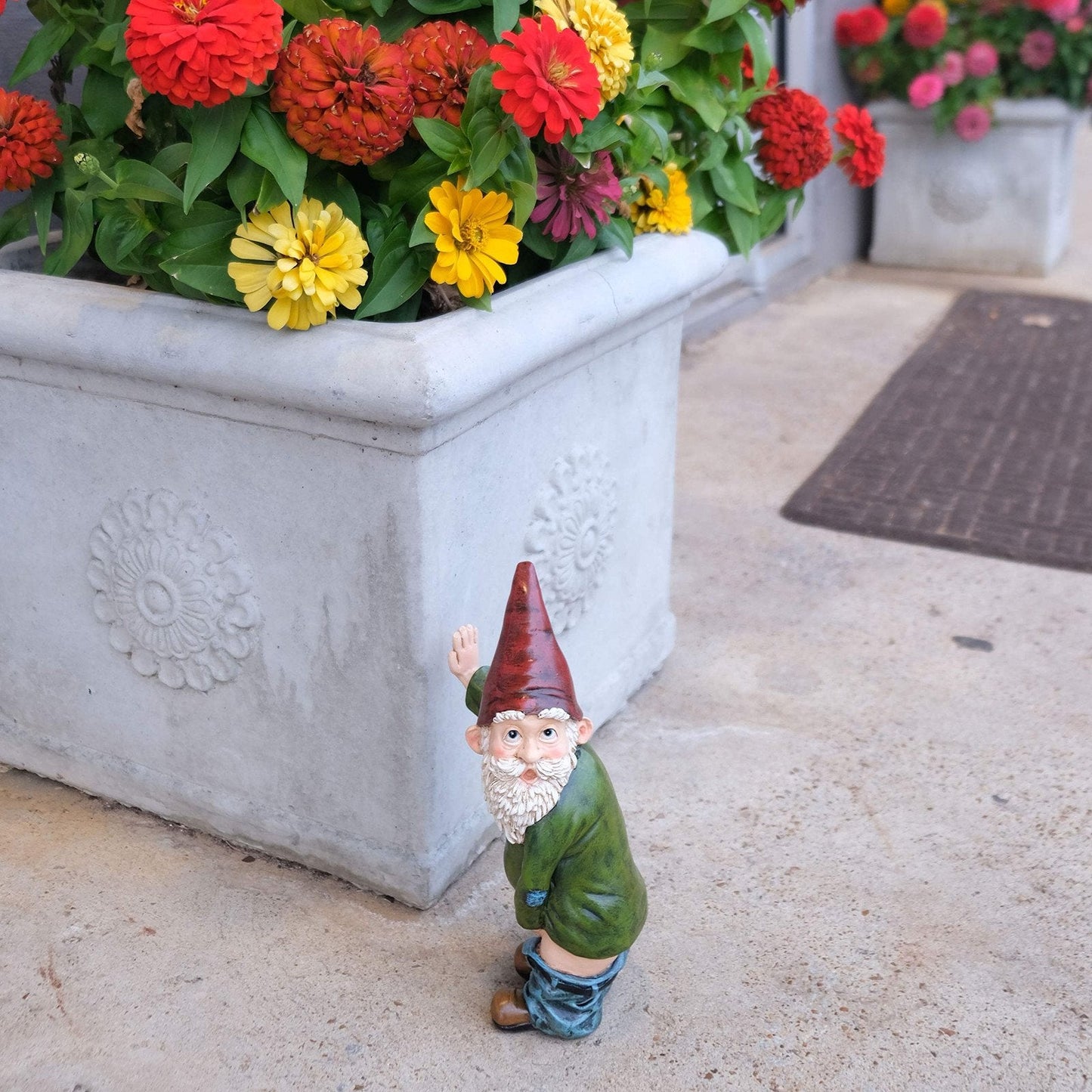 Nain de Jardin Surpris