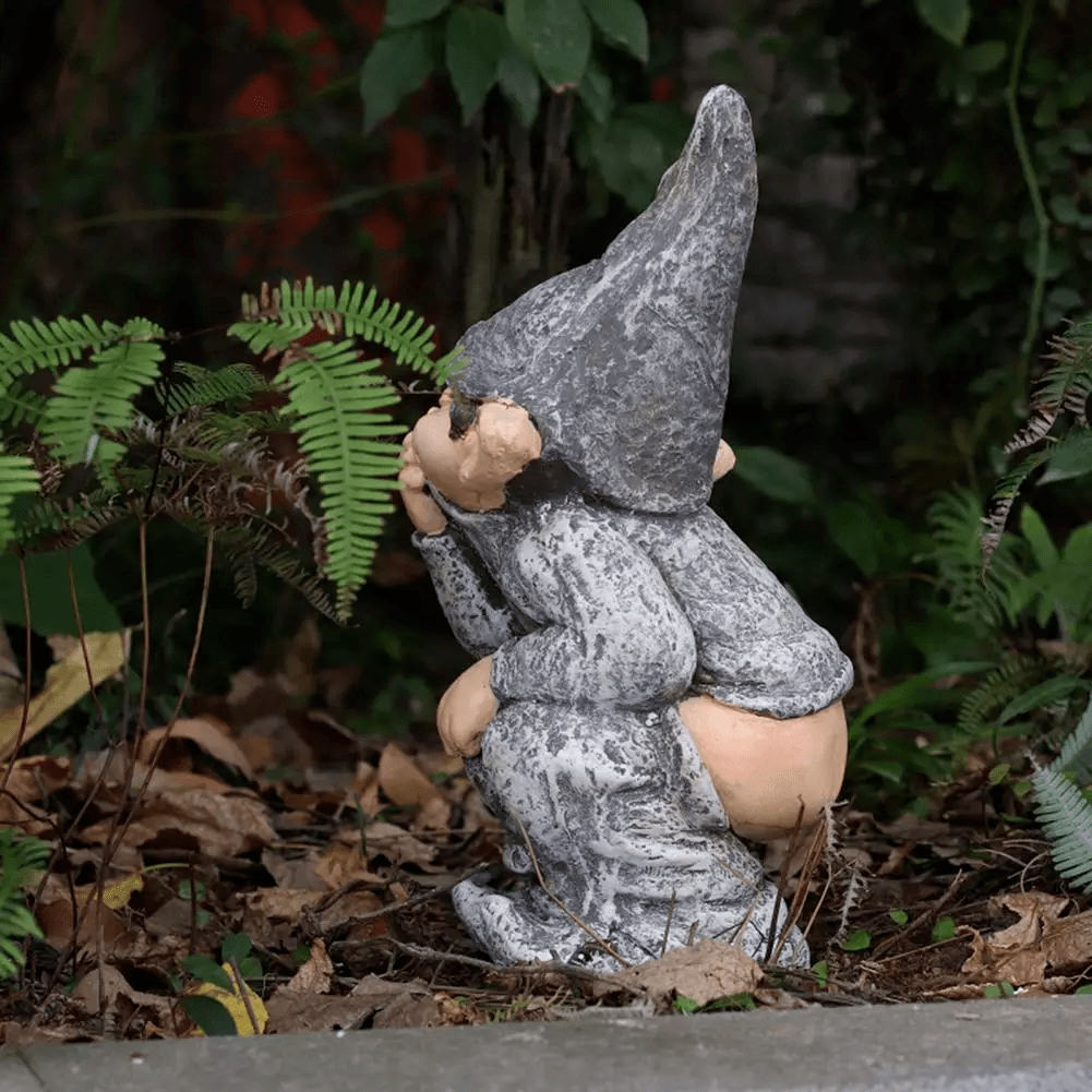 Nain de Jardin Péteur