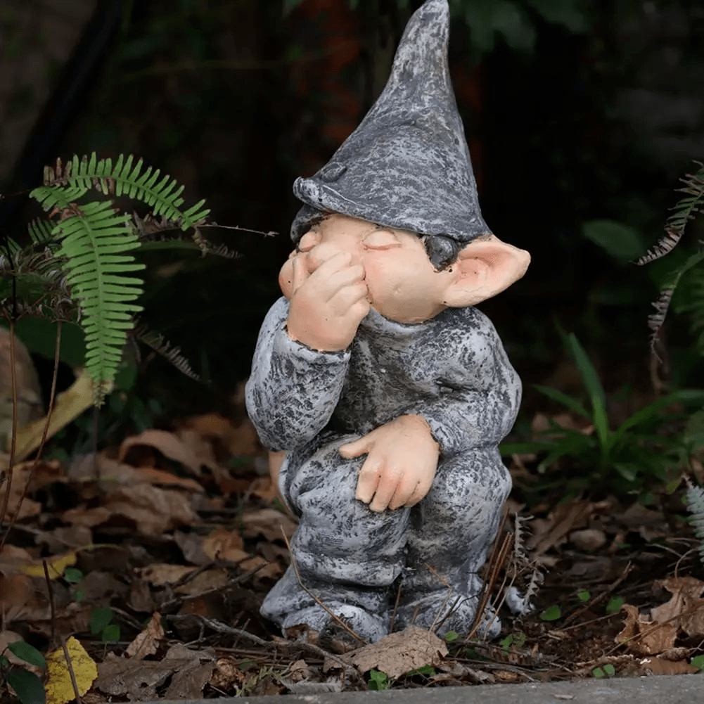 Nain de Jardin Péteur